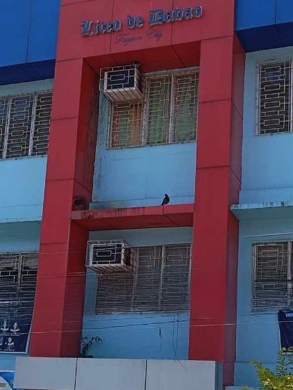 Clean Facade